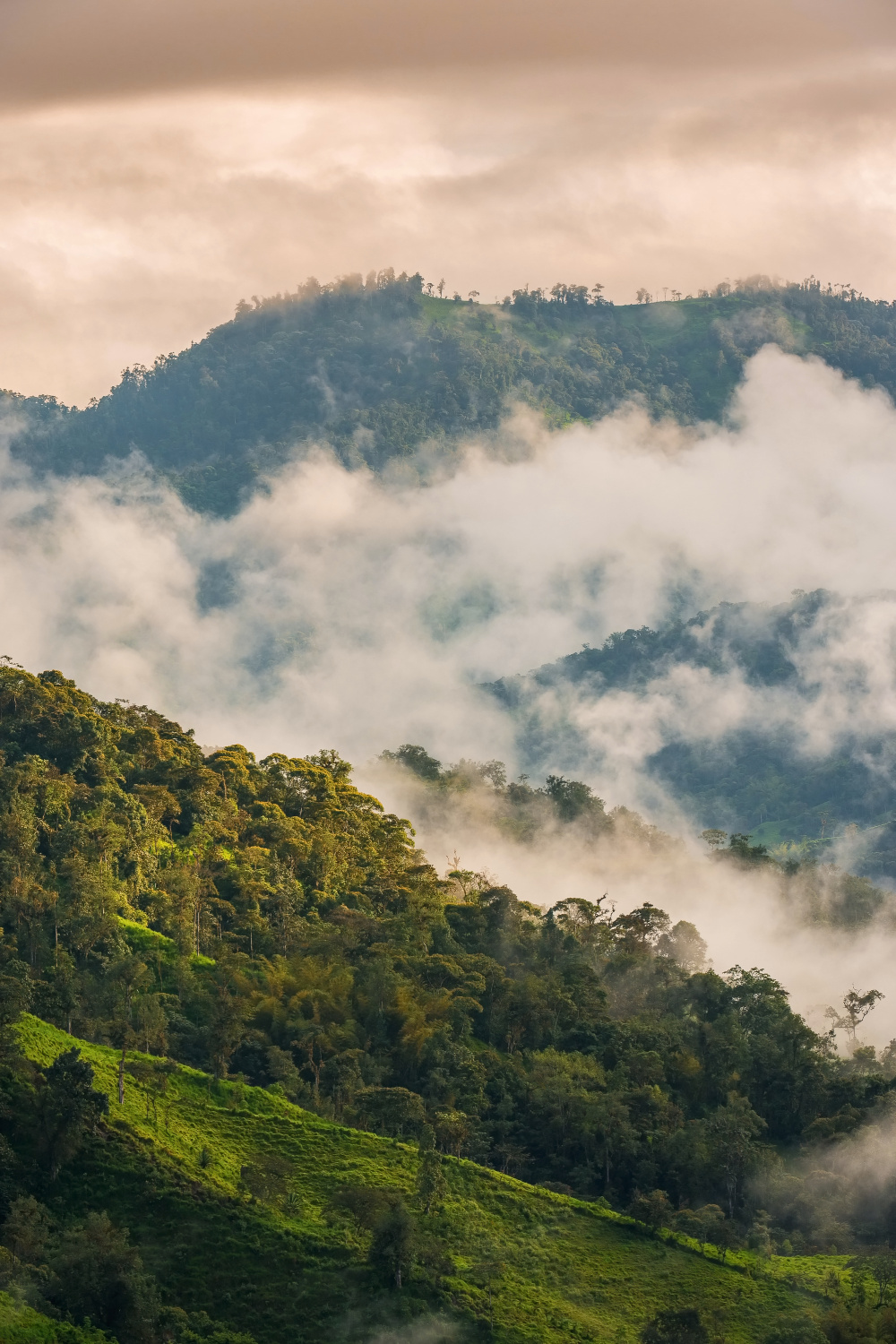 Nanegalito - Ecuador