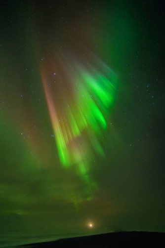 Vik beach (Iceland) The northern lights