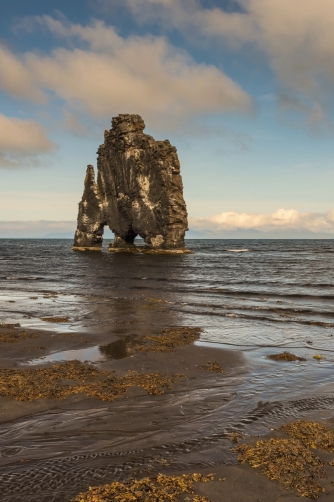 Hvítserkur (Iceland)