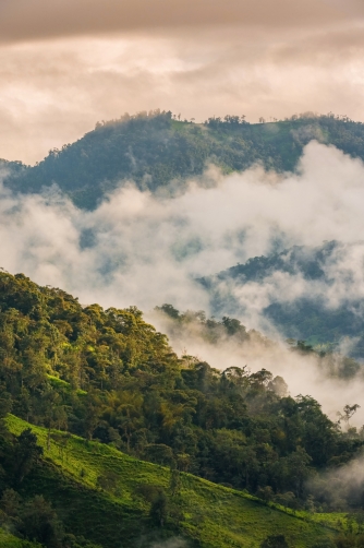 Nanegalito - Ecuador